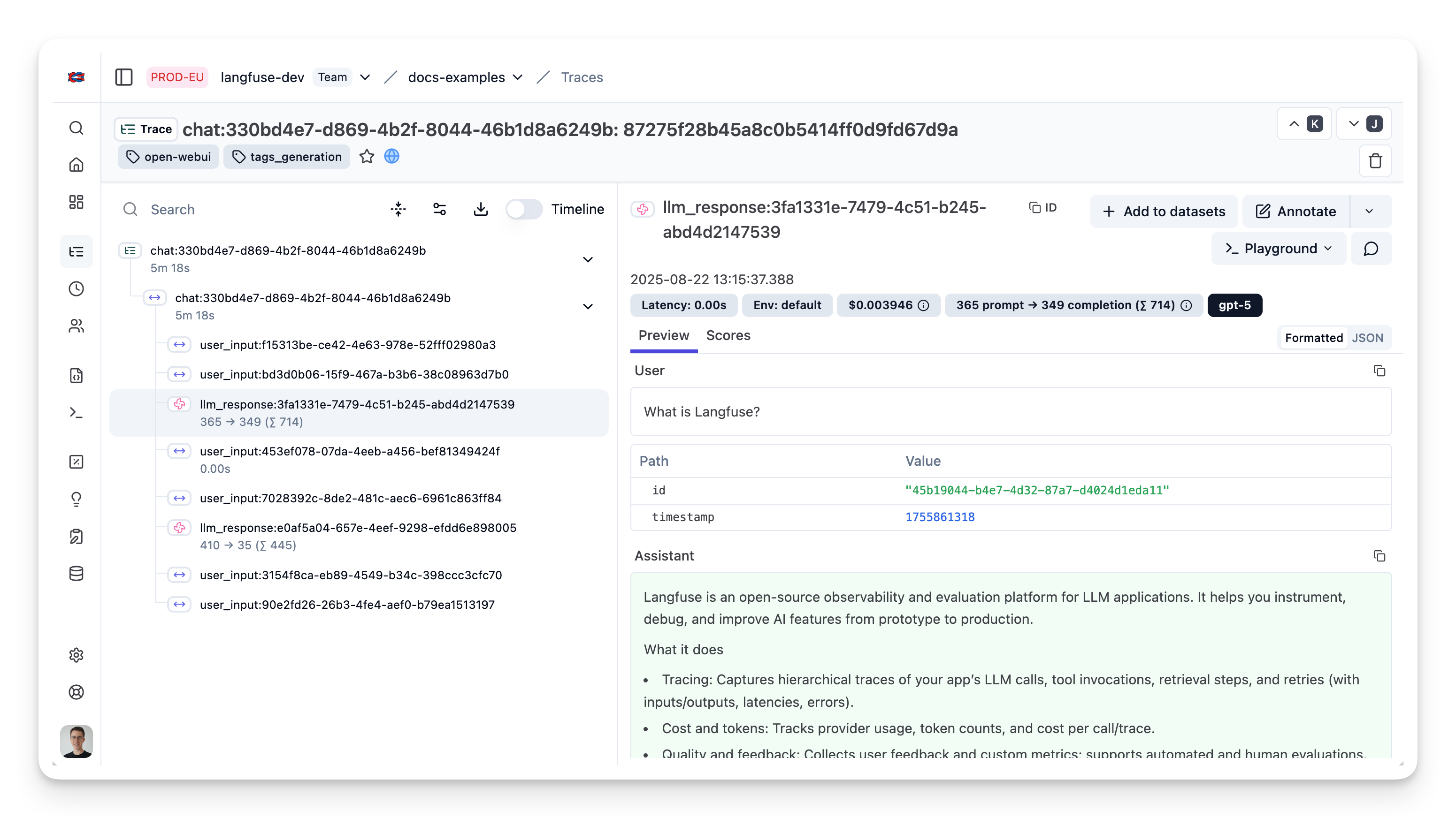 Open WebUI Example Trace in Langfuse