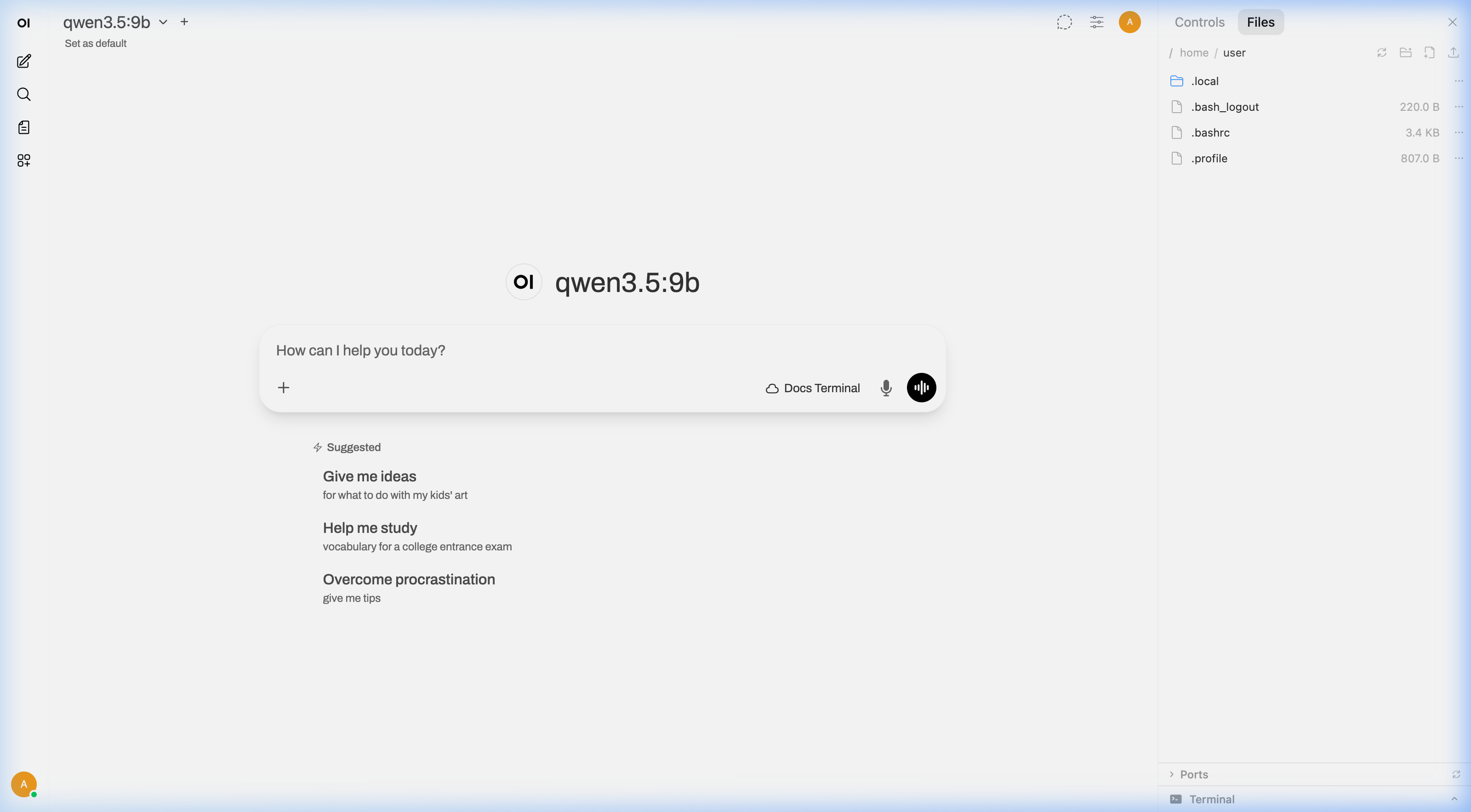 Open WebUI with Open Terminal, file browser sidebar and chat